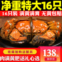 Extra large 16 clear water hairy crabs fresh crabs spot Qinhu crab seafood aquatic seafood gift box can be full mother