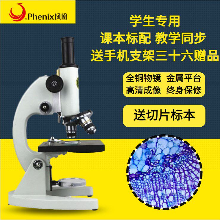 Phoenix optical microscope sperm high-power clarity primary and secondary school students children's science experiment professional biological microscope