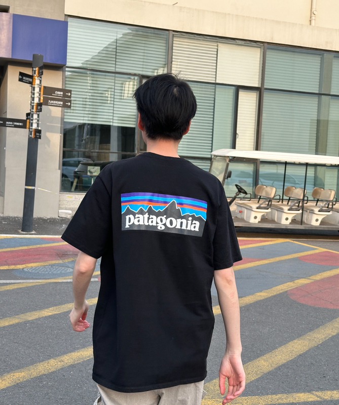 Patagonia Patagonia P-6 Printed Loose Sports Round Neck American Retro Short-Sleeved T-Shirt for Men