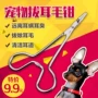 Chó kìm thép không gỉ kìm lông Teddy lông thú cưng cầm máu kẹp tai mèo làm sạch vật tư kéo tai cắt tóc - Cat / Dog Medical Supplies các loại vật tư y tế cho thú cưng