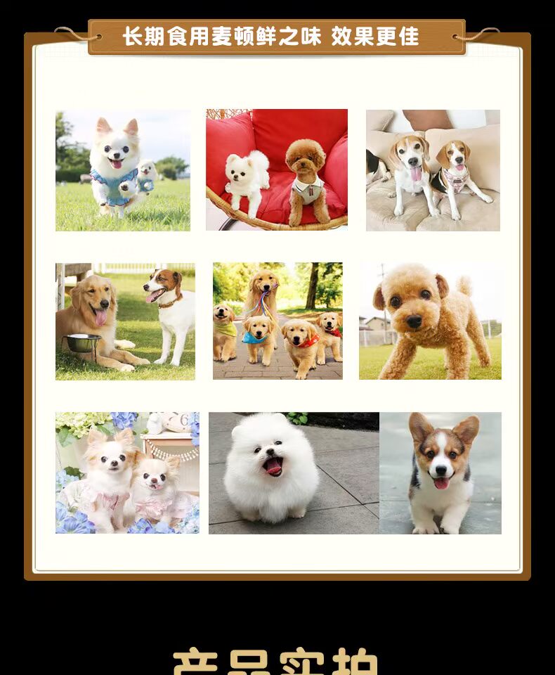 Thức ăn cho chó Maiton chó con chung chó nhỏ Teddy Jinmao Labrador hơn Xiong Bomei Husky 10kg - Chó Staples thức an cho chó bao 50kg