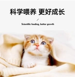 麦顿 Кошачья корм для взрослых кошек питание апельсиновое кот короткие полные полнопорядочки универсальная кошачья еда 30 килограммов запас