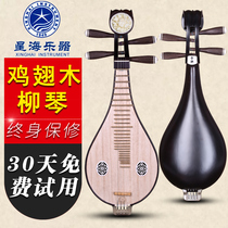 Xinghai Chicken Wing Wood 8415 Liuqin Xinghai Liuqin Musical Instrument Peony Head Chicken Wing Wood Material Authorized