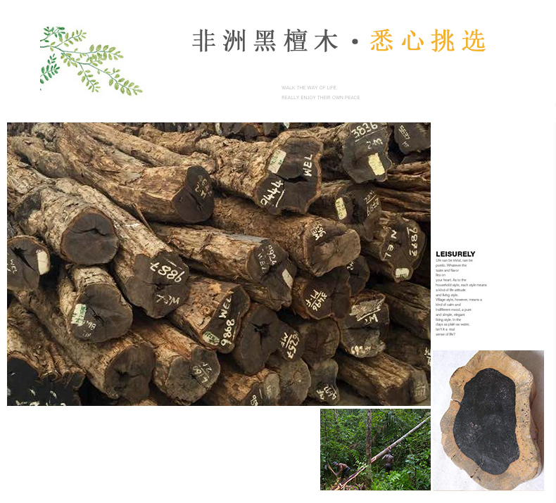 Lu Linsheng Samsung Ebony Erhu nhạc cụ đàn nhị làm bằng tay Gửi phụ kiện gốc - Nhạc cụ dân tộc đàn tranh việt nam