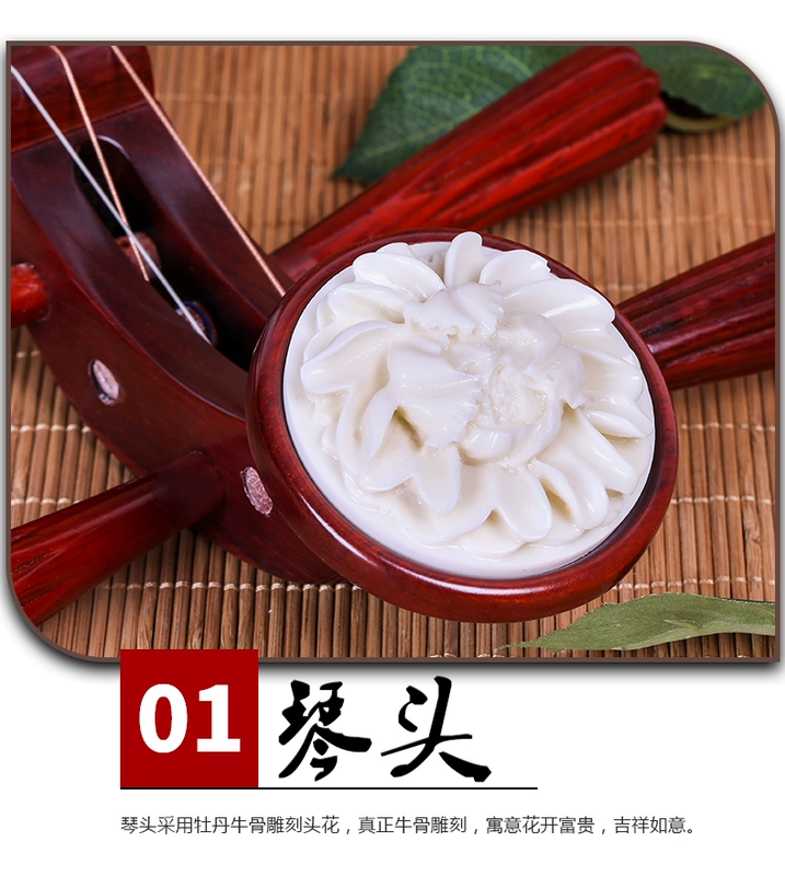 Bắc Kinh Xinghai Yueqin 8212 Hualitou Huayue Nhạc cụ Nhạc kịch Bắc Kinh Nhạc kịch Xipi Erhuang Yueqin - Nhạc cụ dân tộc sáo đất
