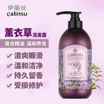 Elise Lavender Verbena bright pick anti-dandruff shampoo Oil control refreshing and supple shampoo for men and women