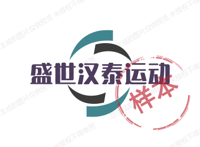 盛世汉泰运动