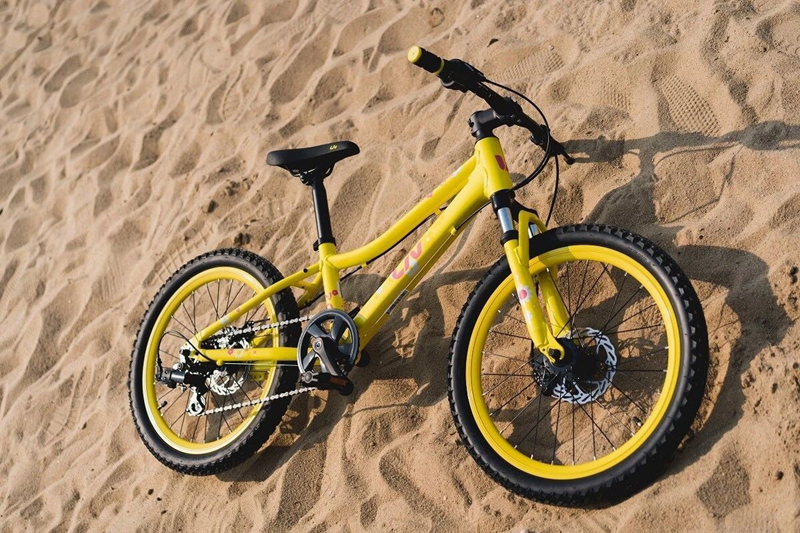 Giant LIV Kate CATE20-D girl primary school student children's disc brake variable speed mountain bike new model