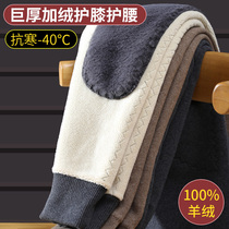 Ordos cashmere pants mens wool pants thickened middle-aged and elderly plus velvet cotton pants high waist womens wool pants winter