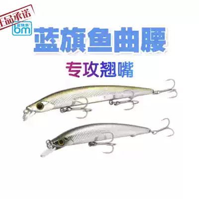 Blue Sailfish monopoly new curved waist sub-bait shallow layer Mino suspension fake bait
