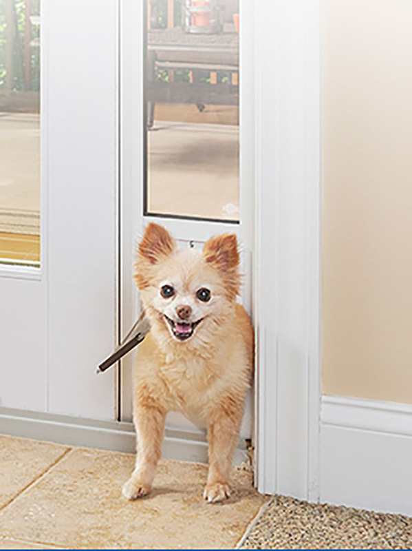 No-Drill Pet Door, Aluminum Alloy Glass Sliding Screen Door, Push-Pull Screen Door for Cats and Dogs to Freely Enter and Exit, Indoor Balcony No-Drill Pet Door, Aluminum Alloy Glass Sliding Screen Door, Push-Pull Screen Door for Cats and Dogs to Freely Enter and Exit, Indoor Balcony