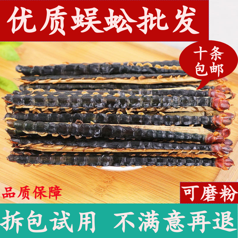 Centipede Chinese herbal medicine store red-headed centipede dried 15 cm large centipede and 10 dried whole scorpion large leech
