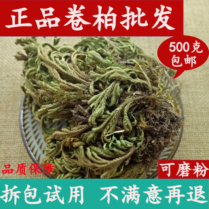 Selaginella nine-dead resurrection grass dried fresh 500g Chinese herbal medicine immortal grass return yang grass longevity grass Chinese herbal medicine
