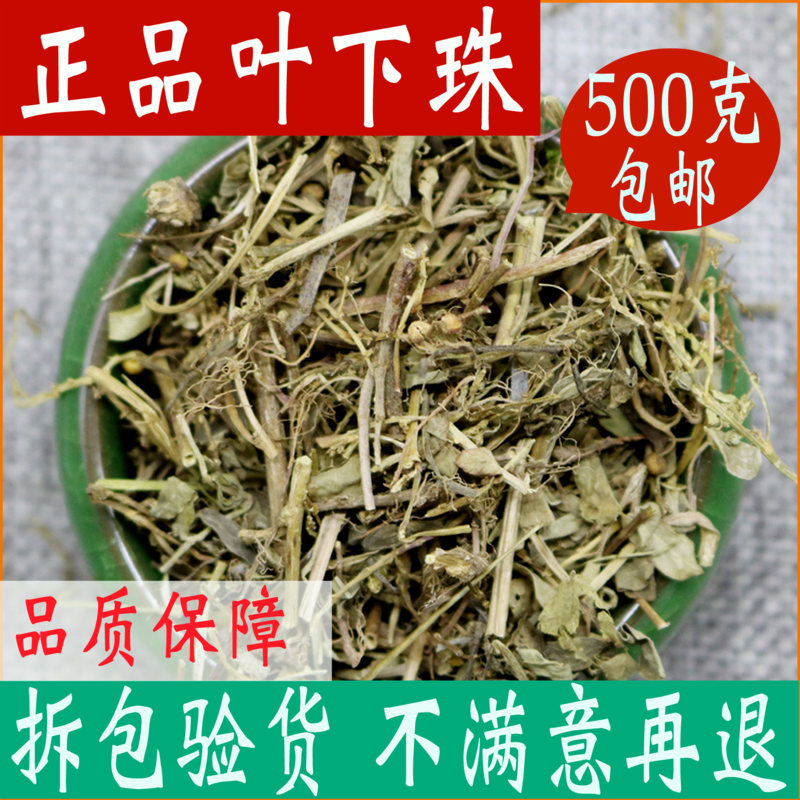 Leaf Lower Pearl Pearl Grass Chinese Herbal Medicine Large All 500g Leaves Lower Pearl Tea Pearl Chinese Herbal Medicine Shop-Taobao