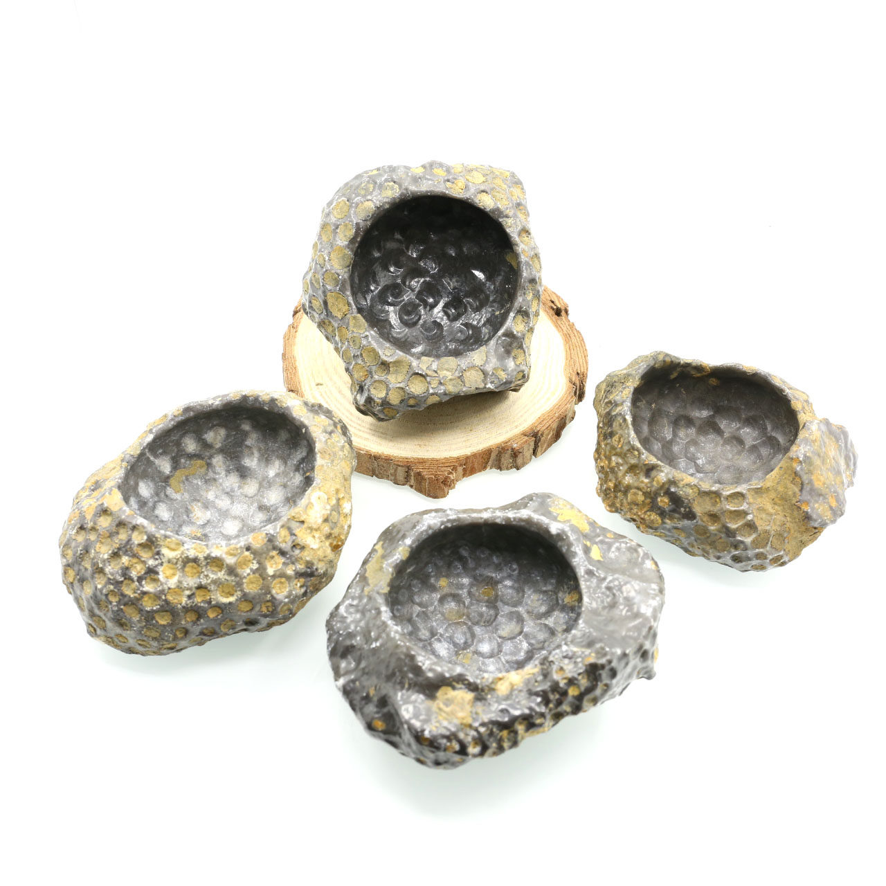 Natural fossil Polyps Fossil Ashtray Fleshy pot collection Fashion gift