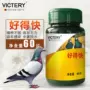 Chim bồ câu y học thư y học chim bồ câu Daquan là tốt đua nhanh chim bồ câu cung cấp thuốc trộn nhiễm trùng sơ cứu chim thông thường - Chim & Chăm sóc chim Supplies lồng sin