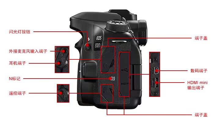 Máy ảnh Canon / Canon EOS 80D (18-135mm) Máy ảnh nhỏ Canon 80d Bộ sản phẩm mới - SLR kỹ thuật số chuyên nghiệp máy ảnh pentax