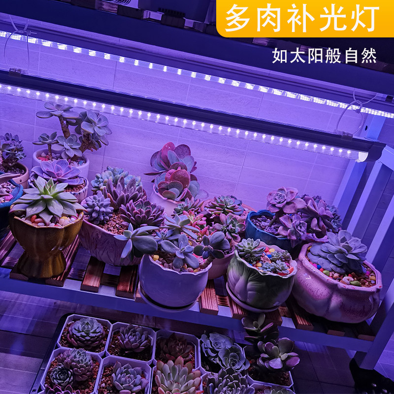 Full-spectrum plant fill light succulent lamp household indoor led coloring plant lamp growth lamp sunshine sun lamp