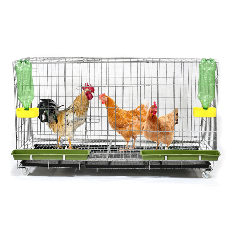 Chicken Cage Subtervalent Chicken Cage Subhousehold Chicken Cage Subhousehold Large Number Special Price Clearing House
