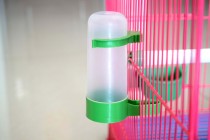 Special offer Automatic bird drinking water dispenser Bird feeder Kettle Water tank Bird cage accessories Pet supplies Utensils Drinking water dispenser
