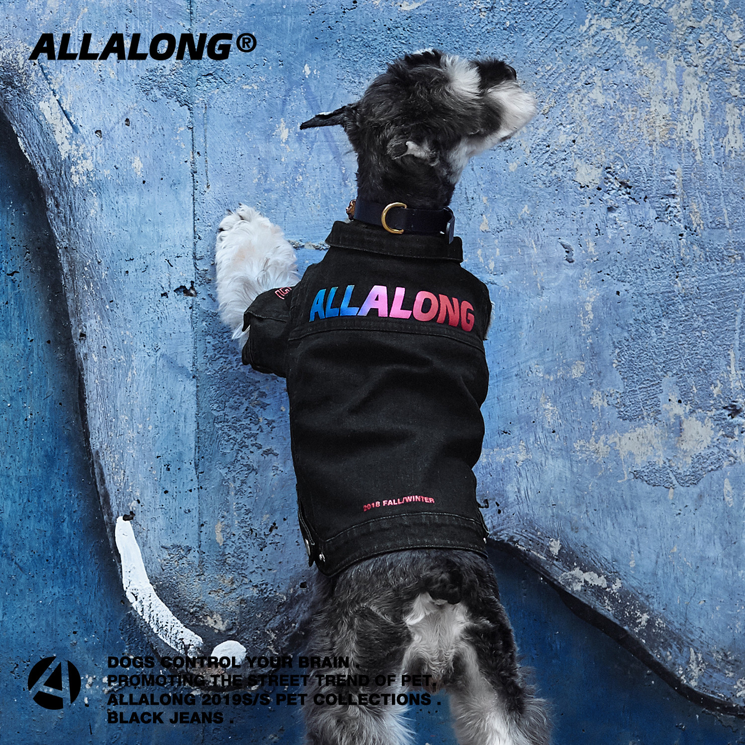 ALLA LONG AUTUMN WINTER DOG CLOTHING PET DENIM JACKET NET RED WATER WASHED SNOWNERI TEDDY SMALL DOG