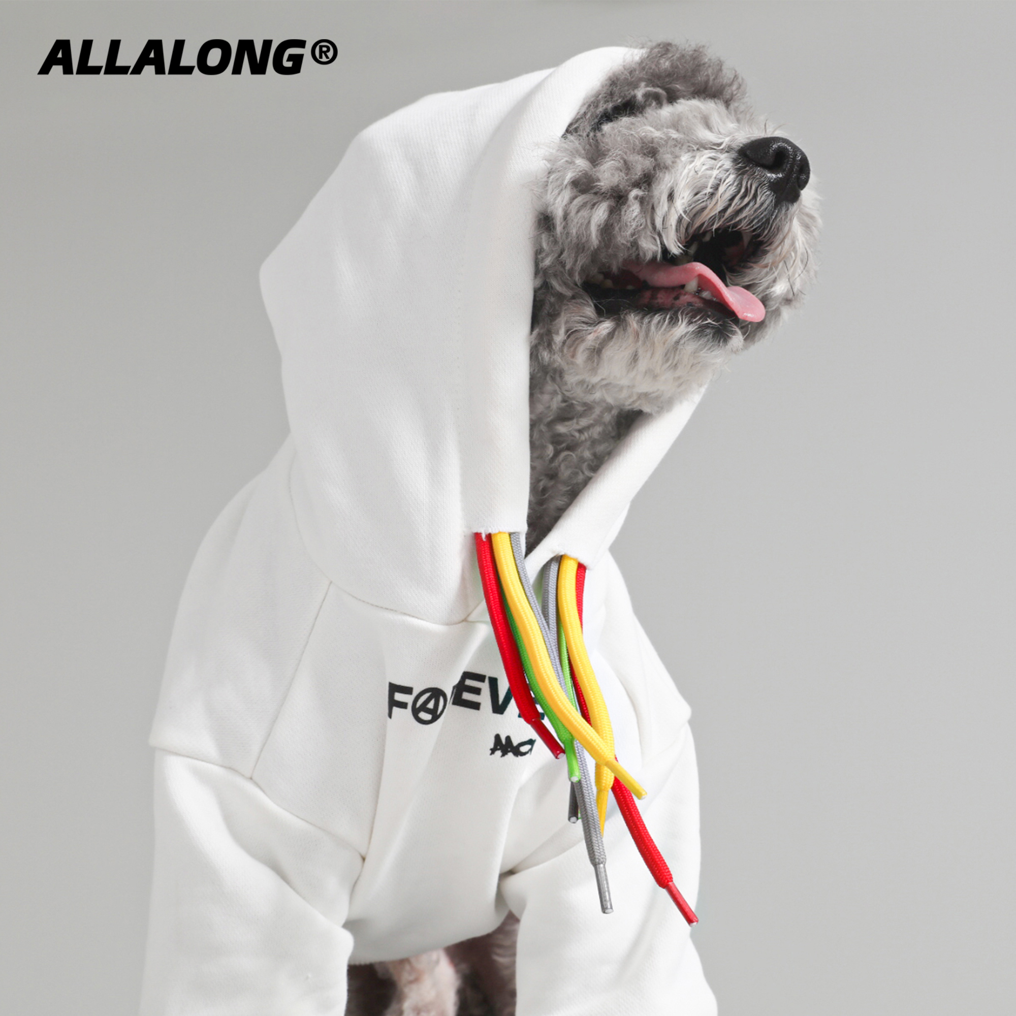 ALLALONG autumn winter new pet clothes dog clothes tide brand dirty braided sweatshirt Teddy Schnauzy Heights