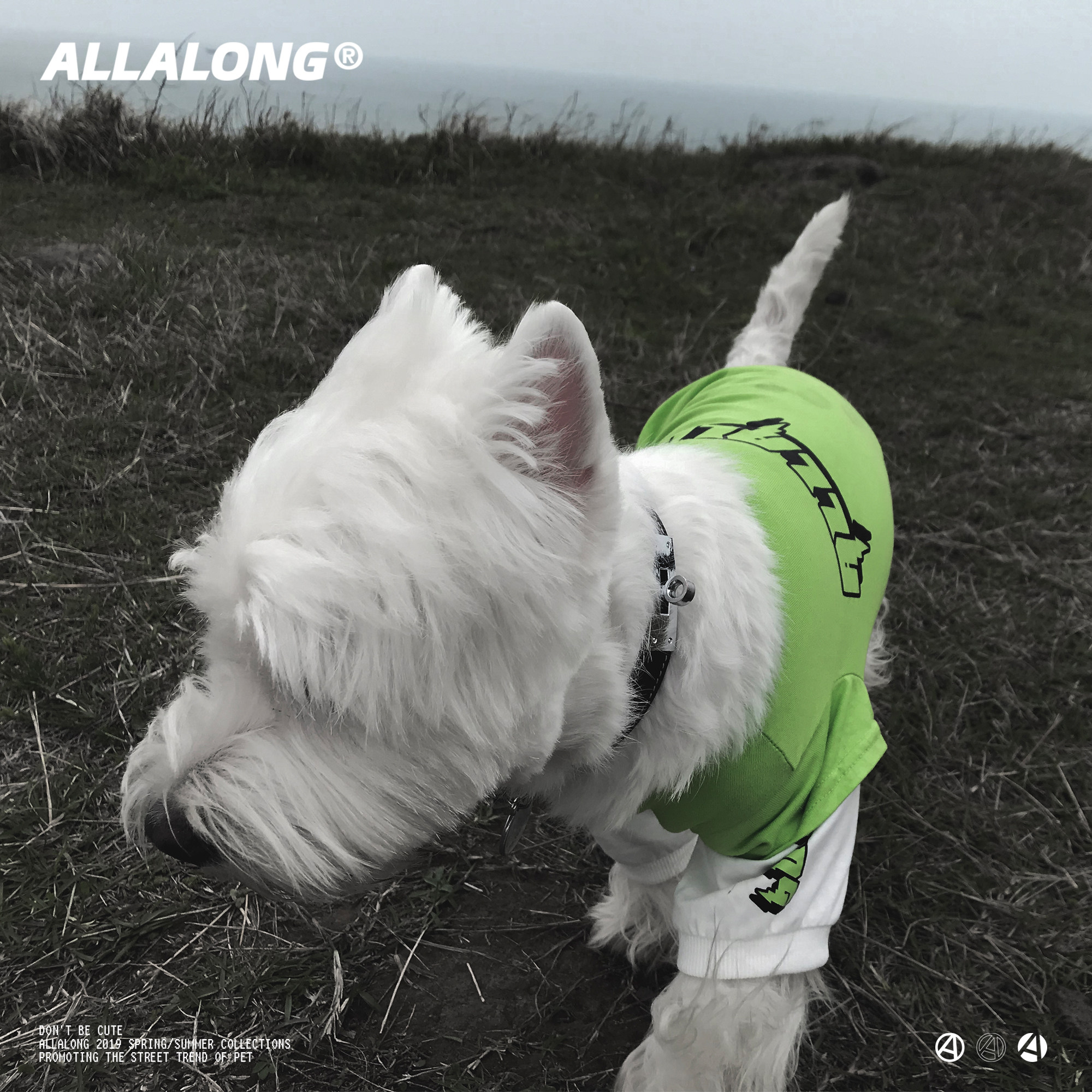 LALARONG Autumn winter Puppy clothes dog clothes thin T-shirt Pet clothes teddy kitty snownery