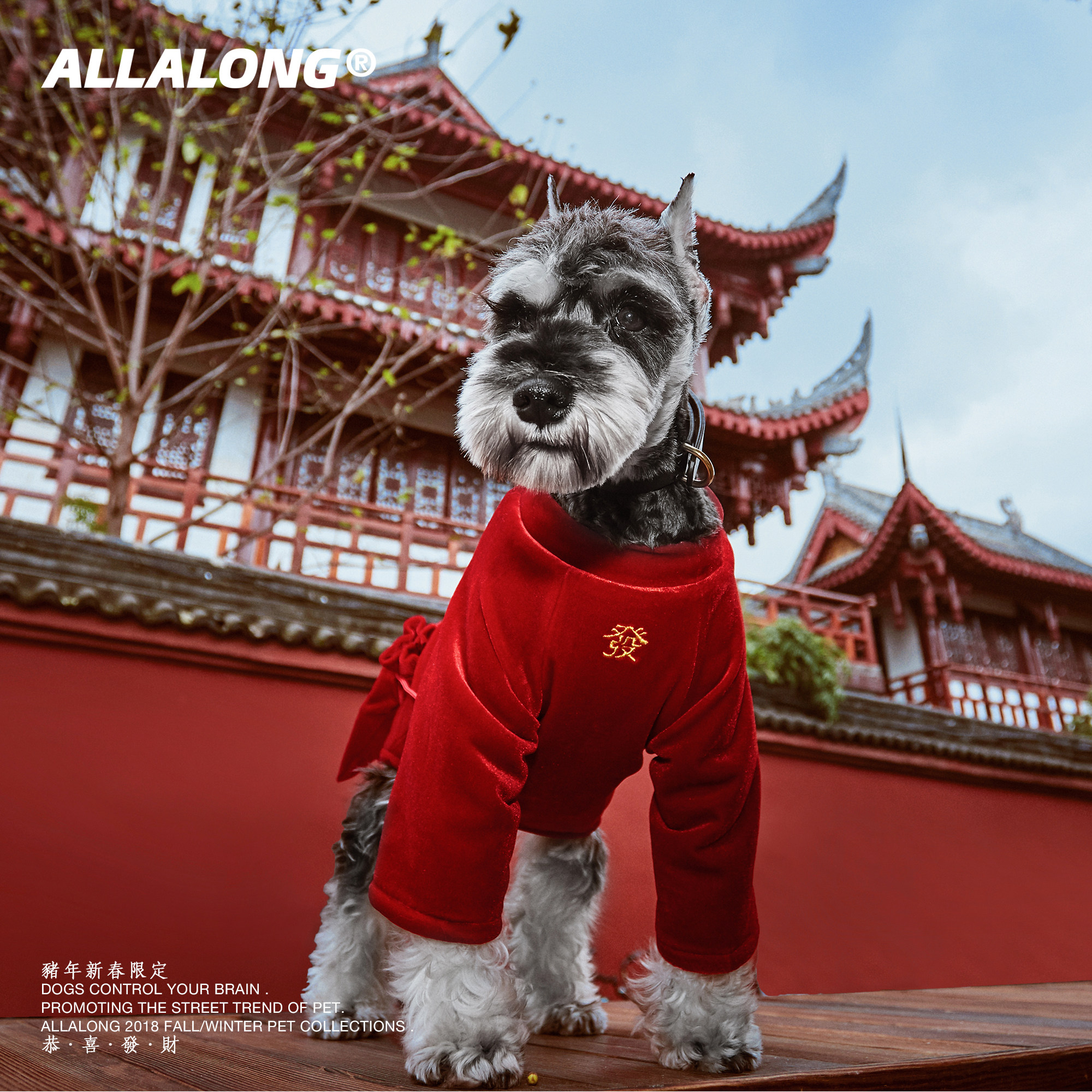 LALARONG PET CLOTHES Dogs Compliment the New Year's New Year's New Year uniforms thickened with red teddy Snow Narey