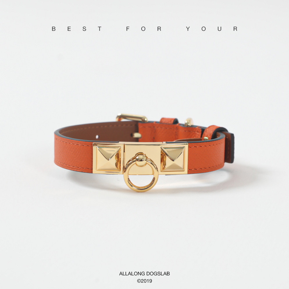 LALALONG LEATHER COLLAR Traction Rope Pendant Dog Neck Reared Dog Rope Teddy Snowneri Ruby Bears West Highlands