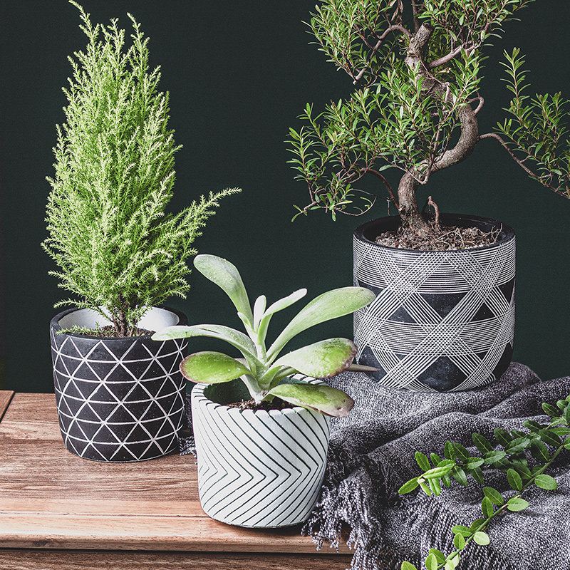 Cement flower pot 2021 Nordic wind minimalist about small clay green plant gold Ge white multimeat creativity