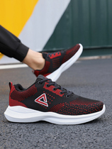 2021 autumn and winter New Peak sneakers mens low-top breathable mesh light wear-resistant student Joker casual shoes