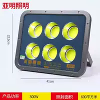 Yaming 300 -Watt Project White Light