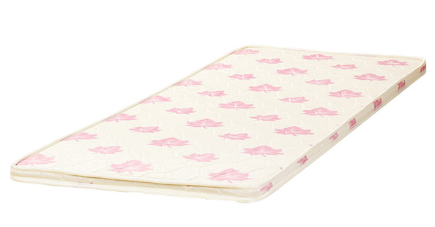 Miễn phí vận chuyển con nệm dừa tự nhiên cọ nệm mat 1,2 m 1,8 m 1,5 mat mat nệm cứng tùy chỉnh - Nệm đệm xốp