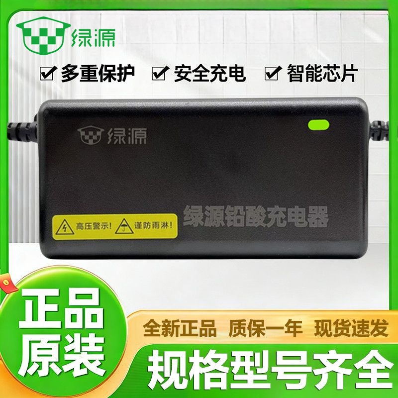 Green Source Original Electric Vehicle Smart Charger 48V60V72V12/20Ah20E-30E2T4T Genuine