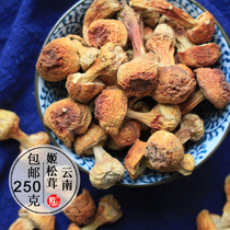 Yunnan specialty Agaricus matsutake dried goods 250g chicken matsutake Brazilian mushroom pine strain wild fungus non 500g