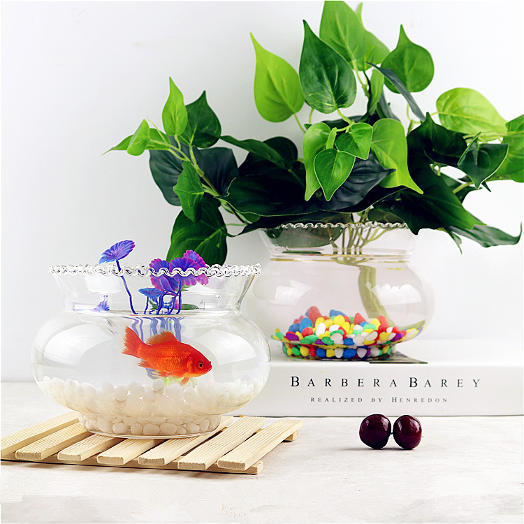 Hydro-cultivated plant round glass vase transparent green lotus sleeping lotus copper grass water flower pot vessel container