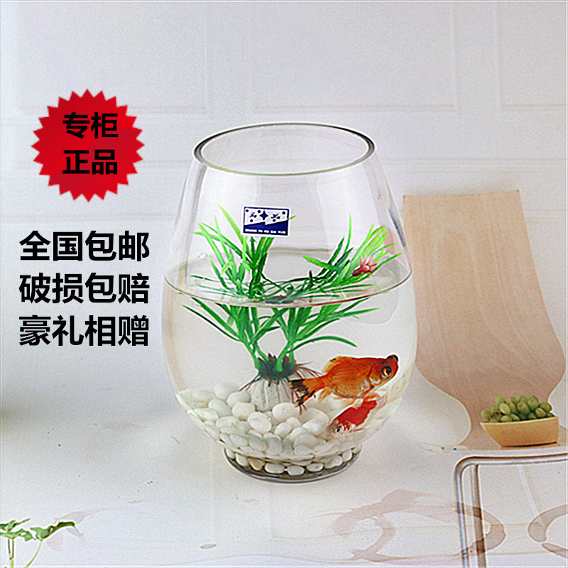 Round Creative Eco Mini-view Small fish tank Desktop gold fish tank glass Utortoise cylinder hydroponic vases