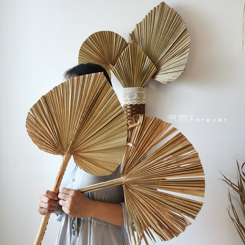 Floral design soft dress with sunflower fan blade Scene wall background arrangement decorated with large sunflower leaves Plum plantain leaf