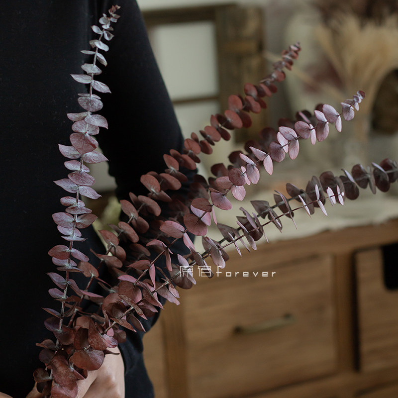 Crimson Jugali leaves dry flower branches flower arrangement bundles with immortality flowers Mind homestay home scene arrangement Furnishing Amine Leaves