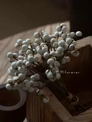 Natural small white fruit dried flower diy hand-made wreath with flower material White barley fruit hipster decoration dried branches