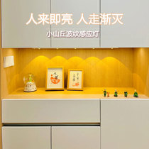 led rechargeable human body induction lamp with porch wardrobe cats eye lamp wiring-free wine cabinet shoe cabinet hills corrugated light strip