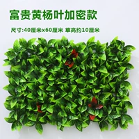 Флуоресценция