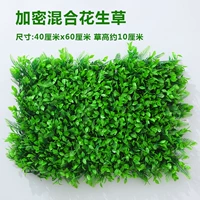 Арбуза красная зашифрованная арахисовая трава