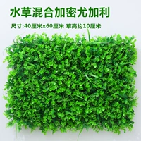 Военный зеленый водный монас