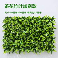 Изумрудные зеленые камелия бамбуковые листья