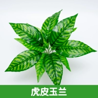 Небо синий тигр кожа Magnolia 1 ветвь