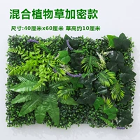 Светло -зеленая смешанная растительная трава