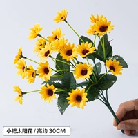 На солнечной энергии, зеленый, желтый