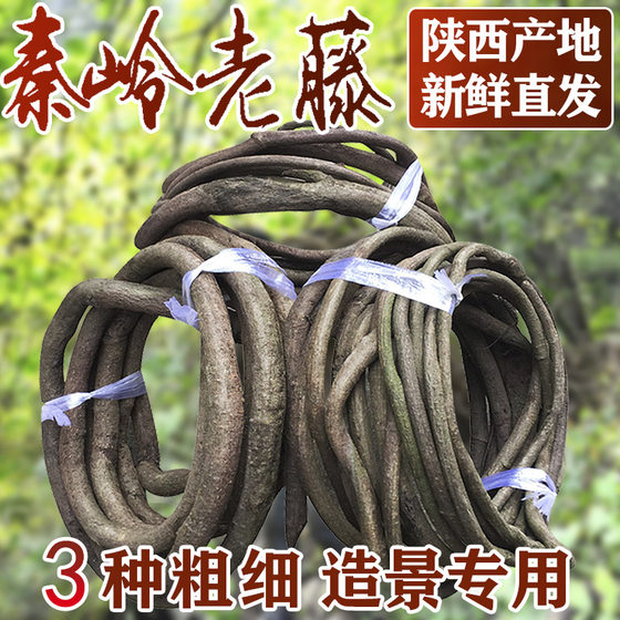 Tree vine decoration dead vine simulation rattan dry branches vine plant climbing vine winding grape vine shape tree Teng landscaping