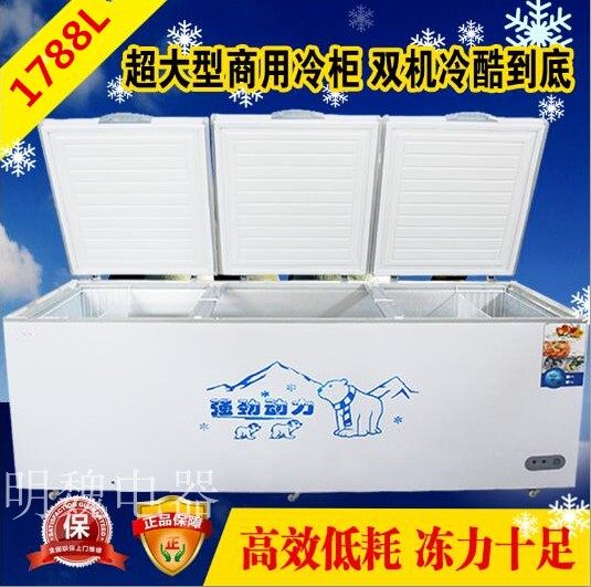 Xinhe Snow Big Frozen Horizontal Commercial Refrigeration and Freezing Large Cabinet of Single Warehouse Tea Cabinet Commercial